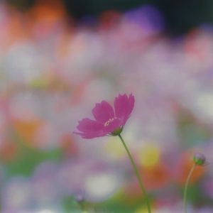 写真展
