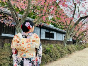 延期になった成人式
