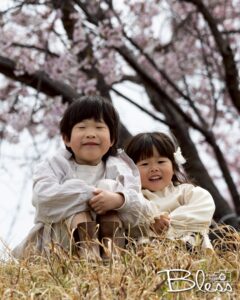 桜とキッズポートレート