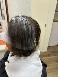 キャップメッシュデビューキャンペーン